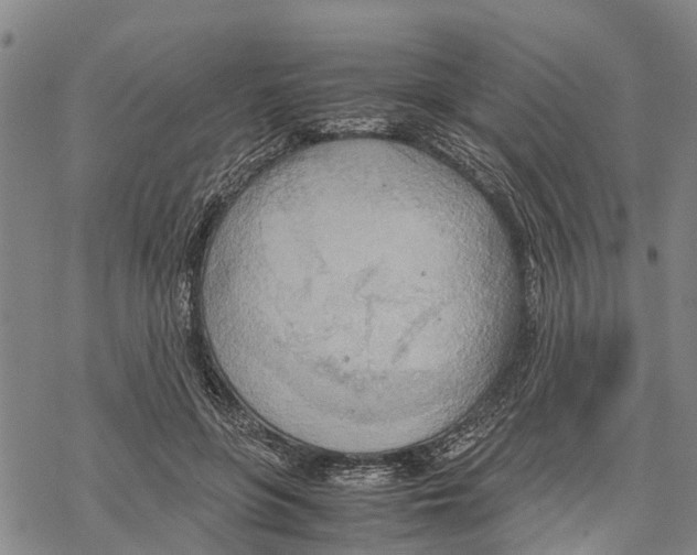 X0000067480551200605051715