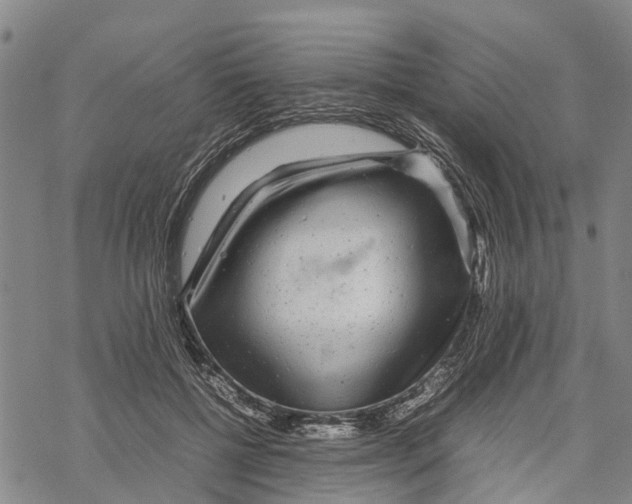 X0000067480552200605051715