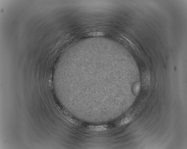 X0000067480553200605051715