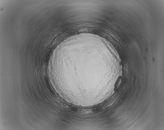 X0000067480554200605051715