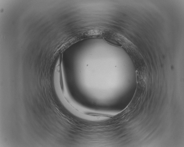 X0000067480556200605051715