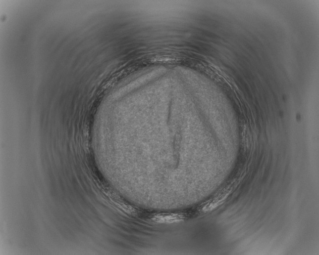 X0000067480557200605051715