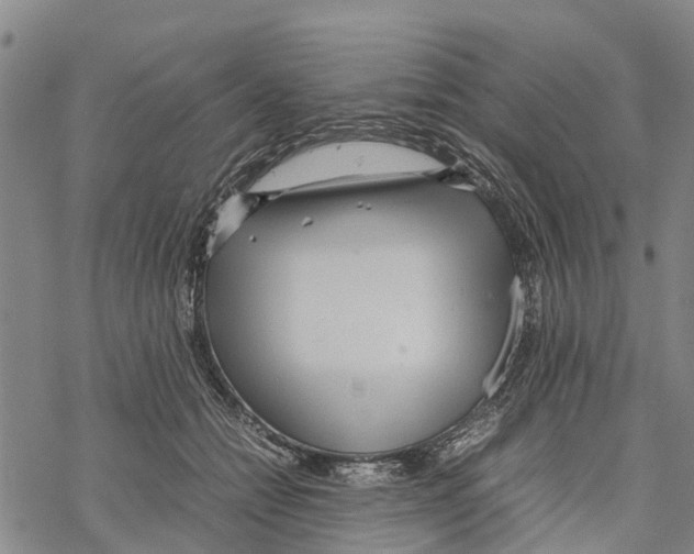 X0000067480558200605051715