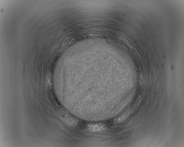 X0000067480561200605051715