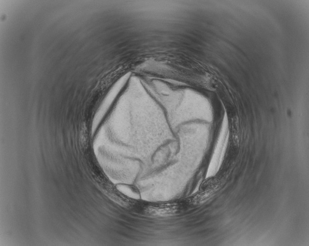 X0000067480563200605051715