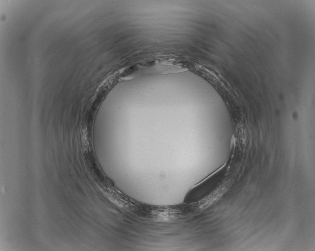 X0000067480564200605051715