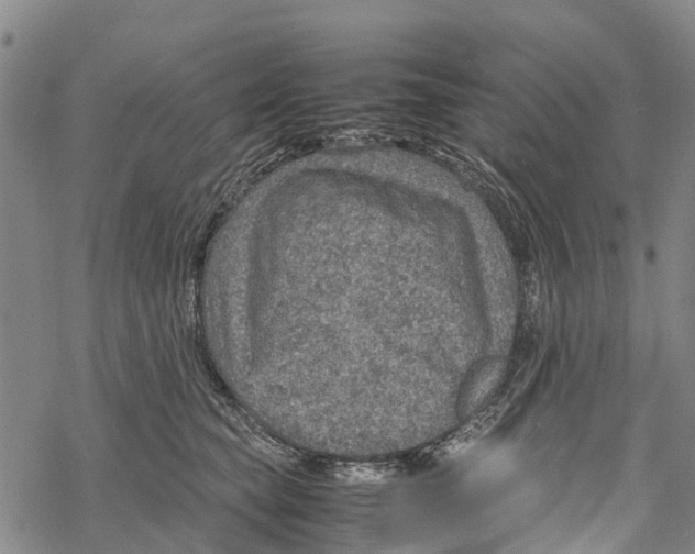 X0000067480565200605051715