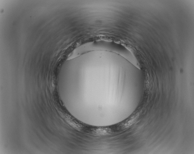 X0000067480566200605051715