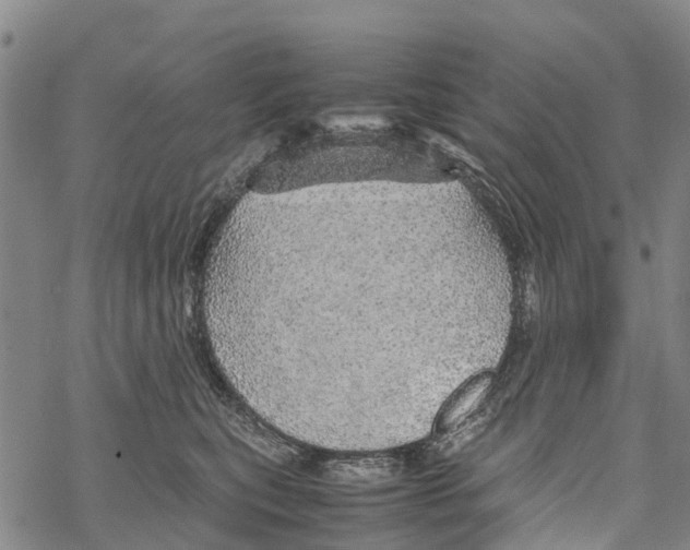 X0000067480567200605051715