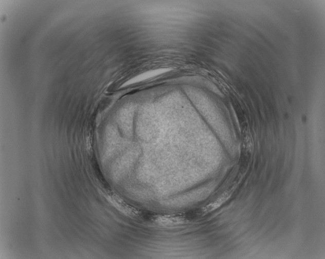 X0000067480568200605051715