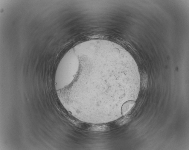 X0000067480569200605051715