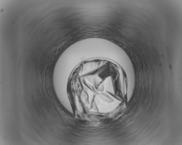 X0000067480570200605051715