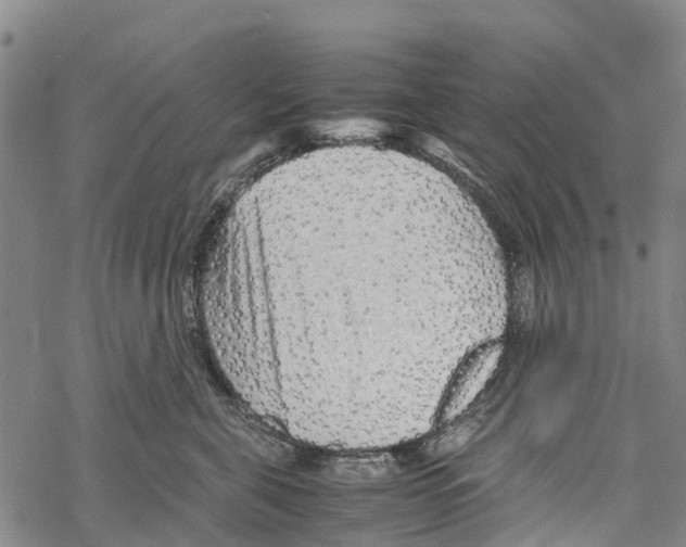 X0000067480571200605051715