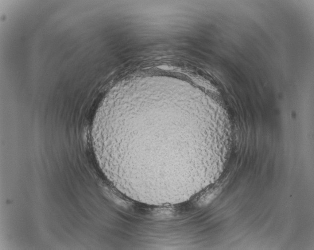 X0000067480574200605051715