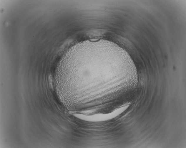 X0000067480575200605051715