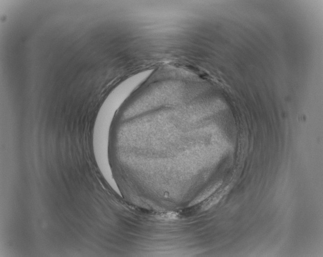 X0000067480576200605051715