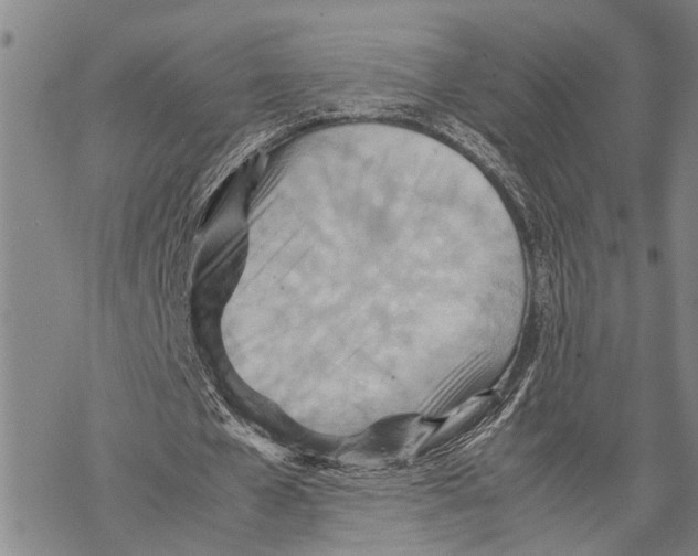 X0000067480577200605051714