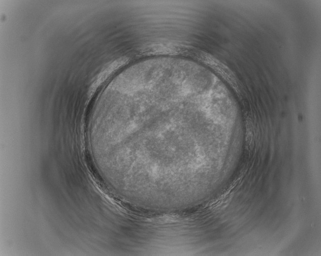 X0000067480578200605051714