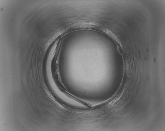 X0000067480581200605051714