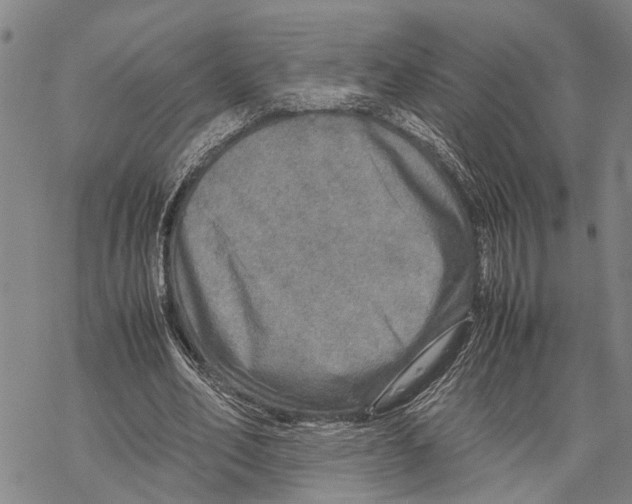 X0000067480582200605051714