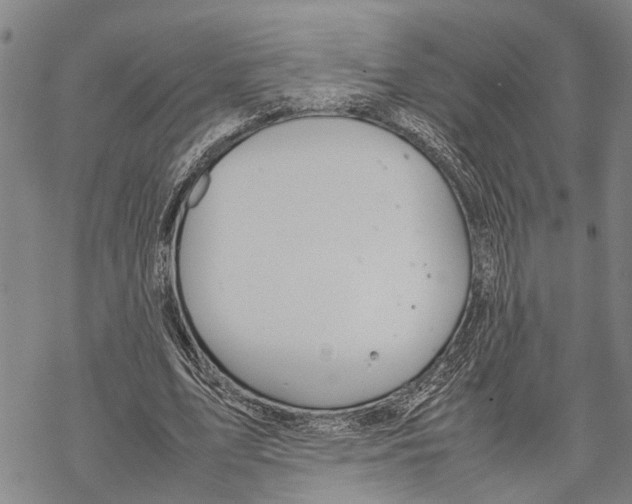 X0000067480583200605051714