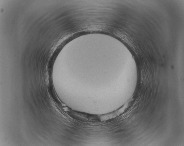 X0000067480584200605051714