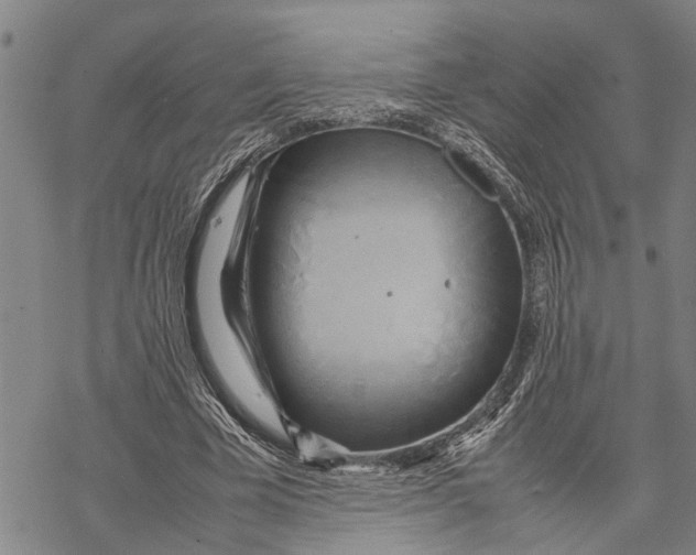 X0000067480585200605051714