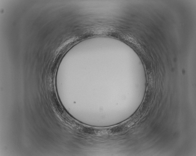 X0000067480587200605051714