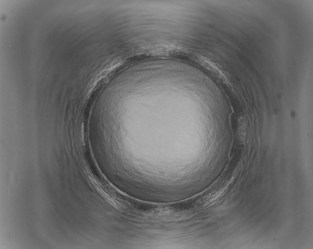 X0000067480589200605051714