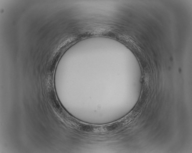 X0000067480591200605051714