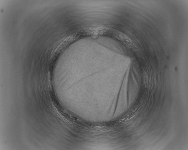 X0000067480594200605051714