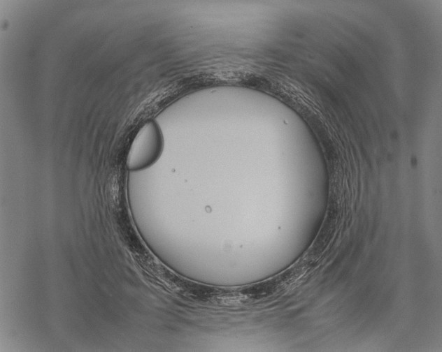 X0000067480595200605051714