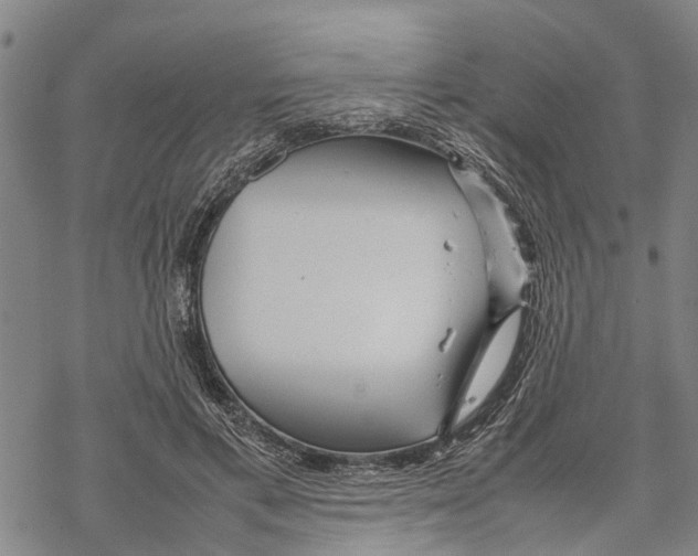 X0000067480597200605051714