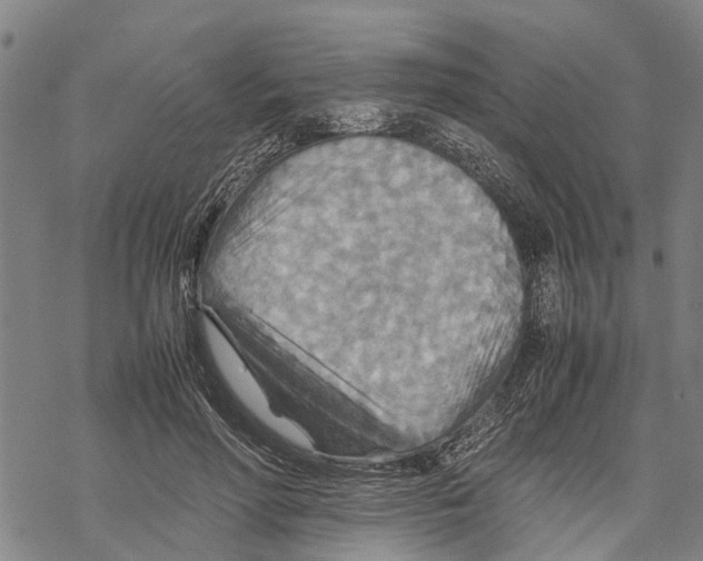 X0000067480598200605051714