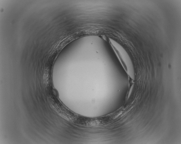 X0000067480600200605051714