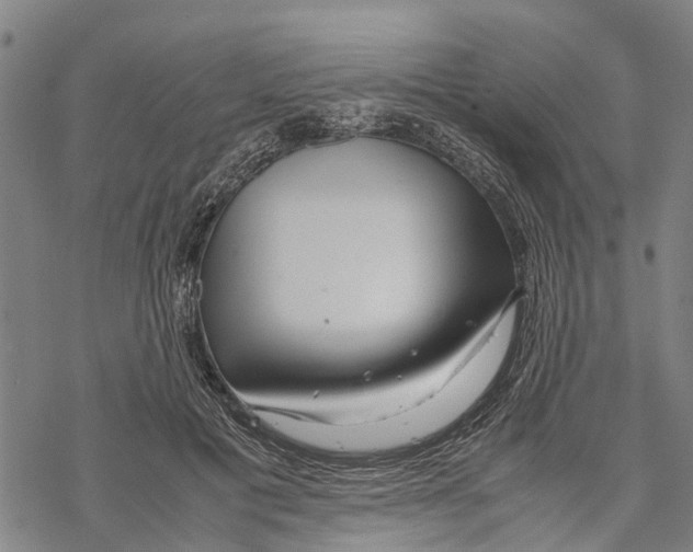 X0000067480601200605051714