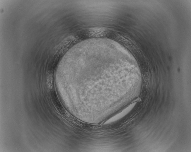 X0000067480602200605051714