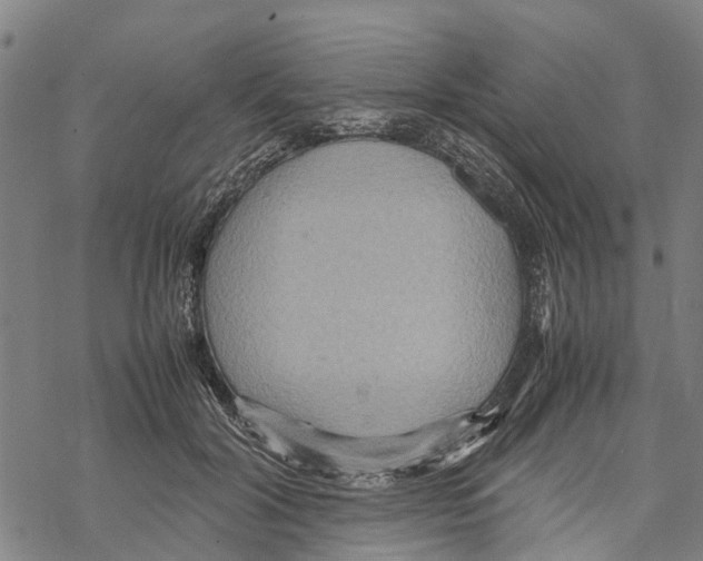 X0000067480604200605051714