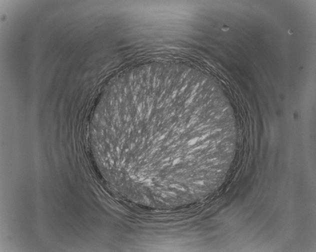 X0000067480605200605051714