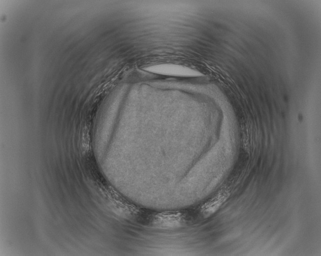 X0000067480606200605051714