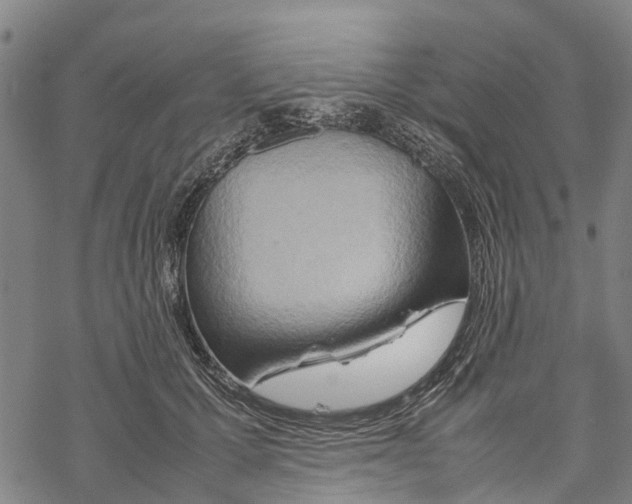 X0000067480607200605051714