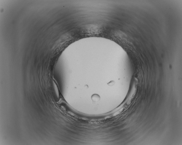 X0000067480608200605051714