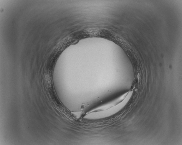 X0000067480609200605051714