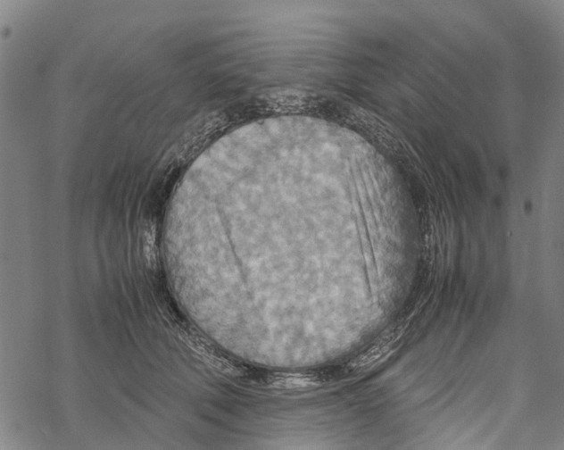 X0000067480610200605051714