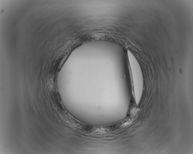 X0000067480611200605051714