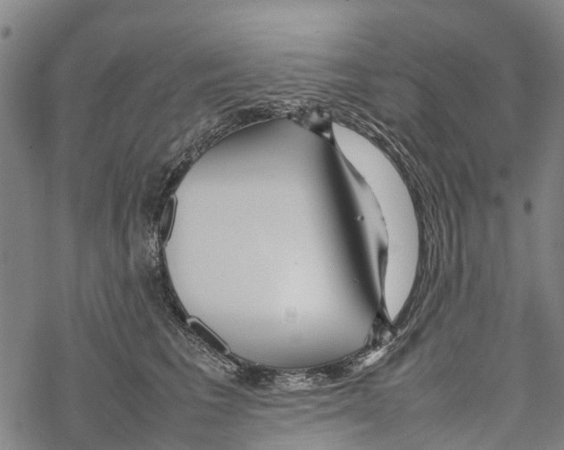 X0000067480613200605051714