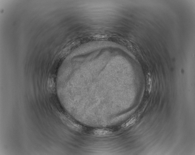 X0000067480614200605051714