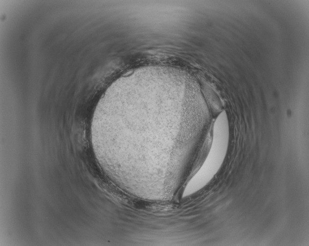 X0000067480615200605051714