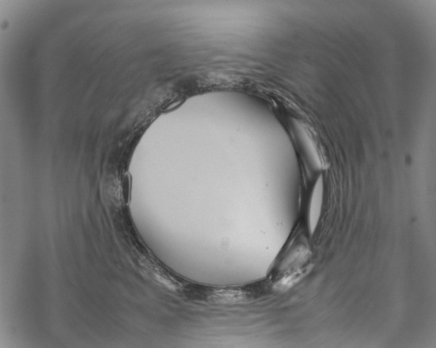 X0000067480617200605051714