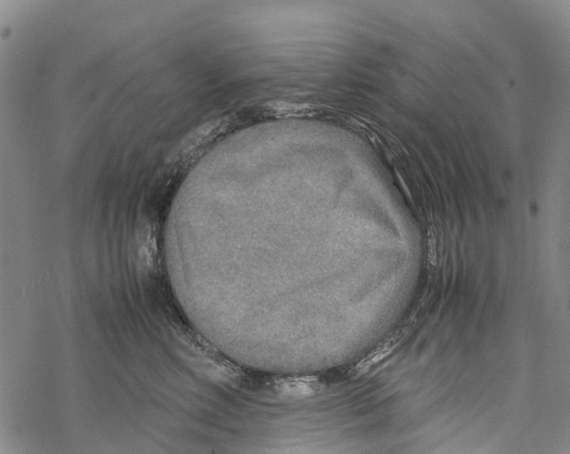 X0000067480618200605051714